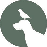 Bird Dog Agency Logo