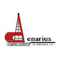 Denarius Pumping Services Logo