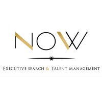 Now Consulting Logo