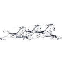 Legacy Springs Farm, LLC Logo