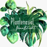 Plantenasiel Maastricht Logo