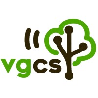 Virgin Gorda Computer Services Logo
