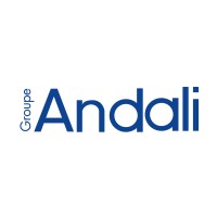 Intersport Groupe Andali Logo