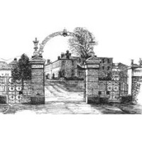 The Royal Hospital Donnybrook Logo