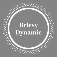 Briesy Dynamic Logo