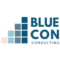 BLUECON Consulting Logo