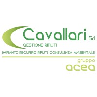 Cavallari S.r.l. - ACEA group Logo
