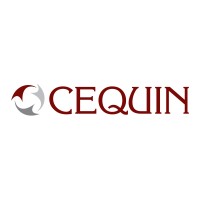 CEQUIN - Centre for Equity & Inclusion Logo
