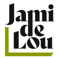 de Lou Strategies Logo