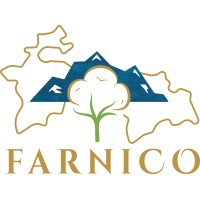 Farnico Logo
