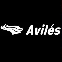 GRUPO AVILÉS Logo