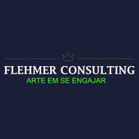 FLEHMER CONSULTING Logo