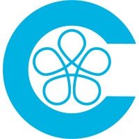 Cool Display Solutions Inc. Logo