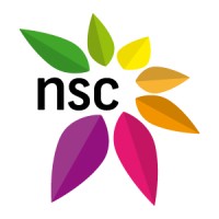 Non Solo Copie Logo