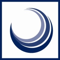 Veritas Securities Limited Logo