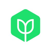 Branch Marketing Logo