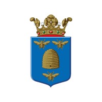 Gemeente Borne Logo