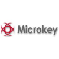 Microkey Electronic Information & Telecommunication Technologies Ltd. Logo