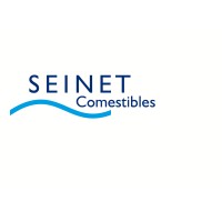 Seinet AG Logo