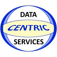 Data Centric Services Logo