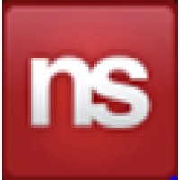 Netsoft USA (Acquired by EPAM Systems) Logo