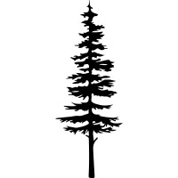 White Pine Partners, LLC Logo