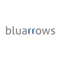bluarrows Logo