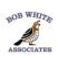 Bob White Associates Logo