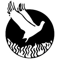 Phoenix Down Corporation Logo