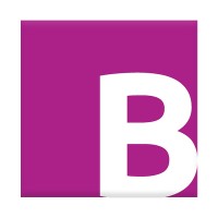 Blacklight Software Logo