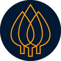 Southern Forestry Partners S.R.L. Logo