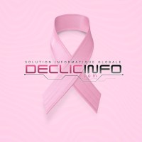 DECLIC INFO Logo