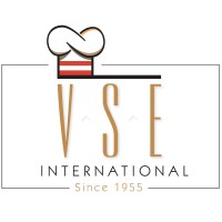 VSE International Logo
