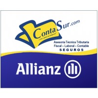 ContaSur Asesoría Logo