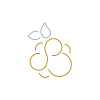 Cloudberry Logo