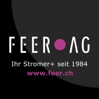 FEER AG Logo