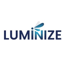 LUMINIZE MARKETING Logo