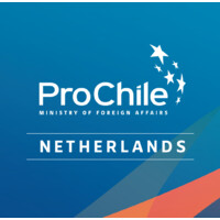 ProChile Netherlands Logo