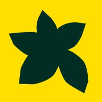 The Resilience Collective Logo