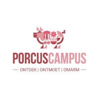 PorcusCampus Logo