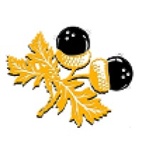 Oak Mountain Lanes Logo