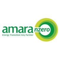 Amara NZero México Logo