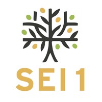 Selective Empowerment Investments 1 Limited Logo