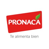 Pronaca Logo