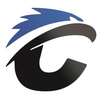 Challenger Defense Solutions Logo