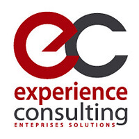 Experience Consulting Logo