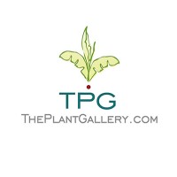 The Plant Gallery, Inc. Logo
