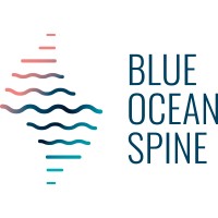 Blue Ocean Spine GmbH Logo