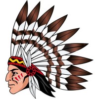 Native (Anhui) Information Technology Ltd., Co. Logo