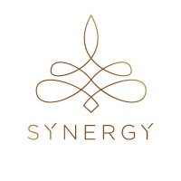 Synergy - The Retreat Show Logo